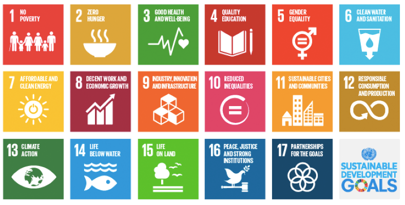 UN SDGs infographic of 17 goals
